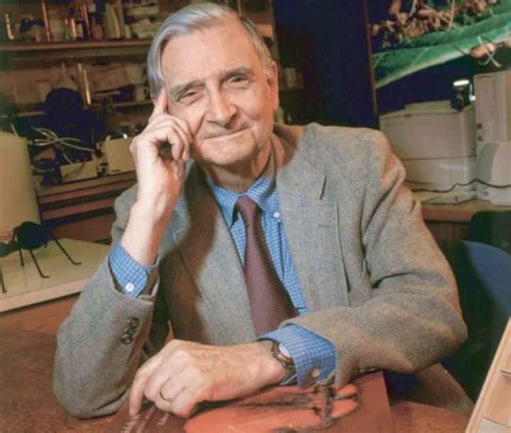 E. O. Wilson E. O. Wilson