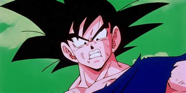 Goku is staring directly at the camera.