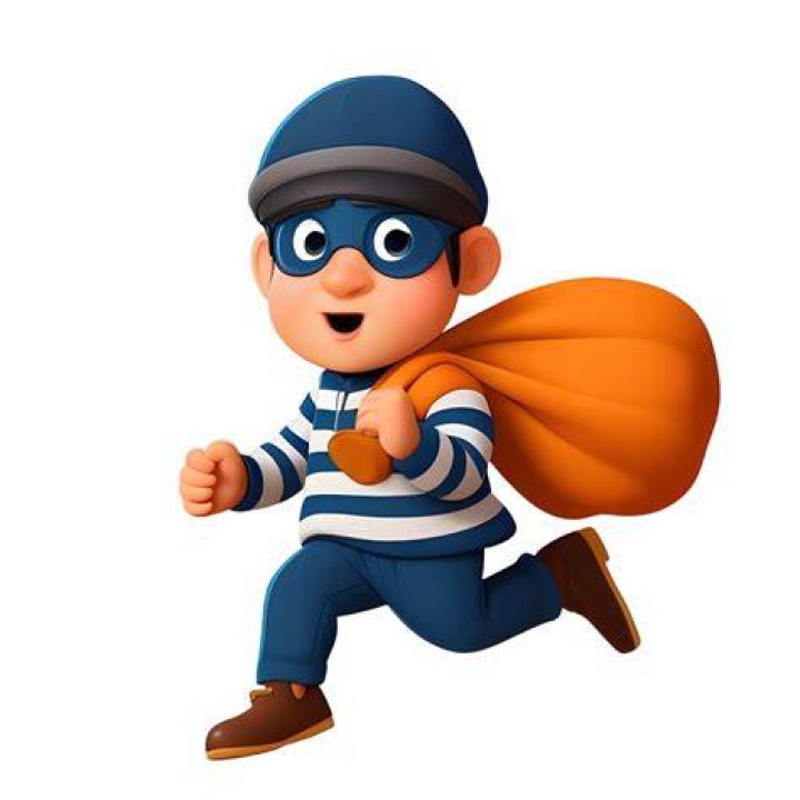 Thief